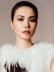 王菲天涯真实爆料最新,天涯往事背后的真实真相